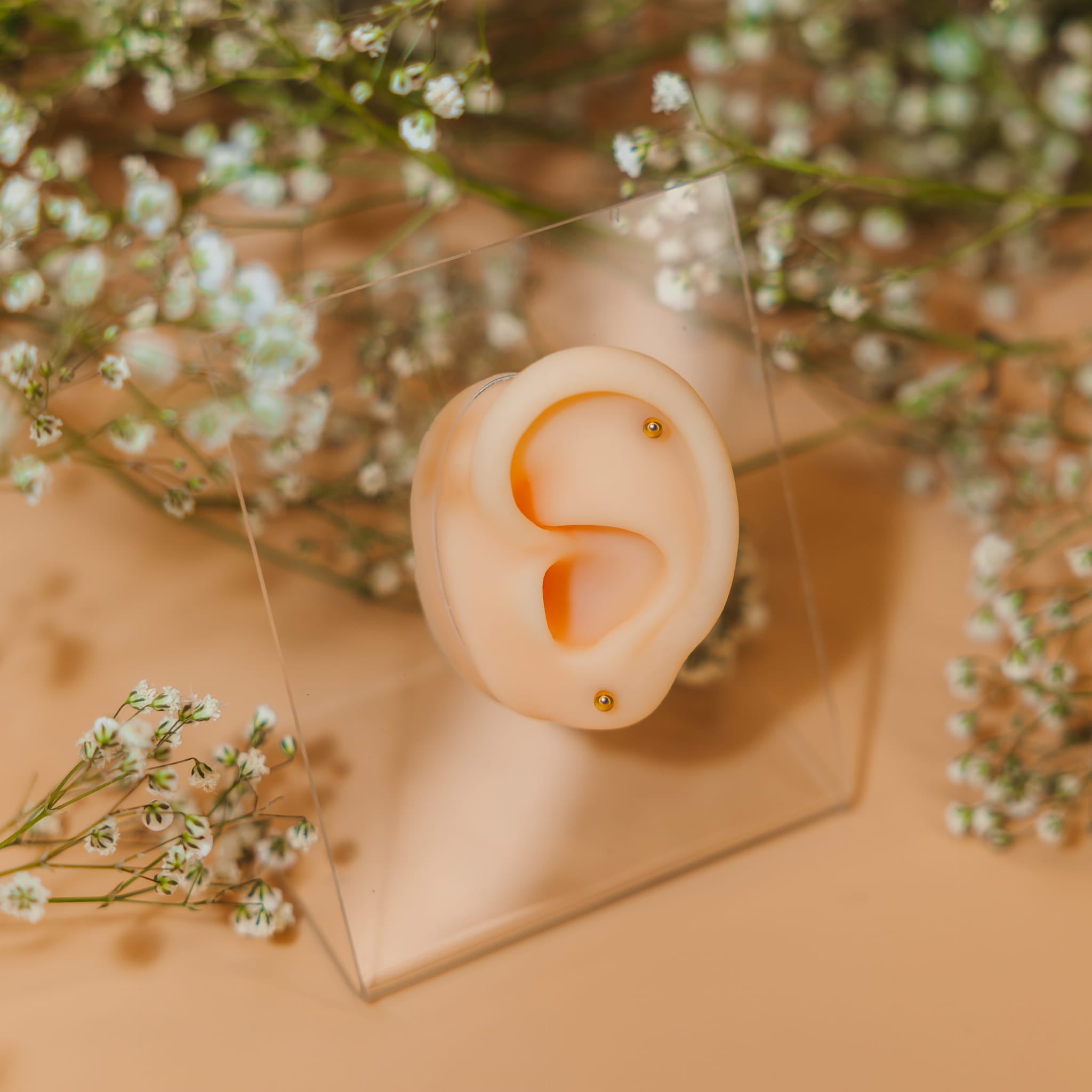 Labret z kulką - Stal Chirurgiczna 316L.