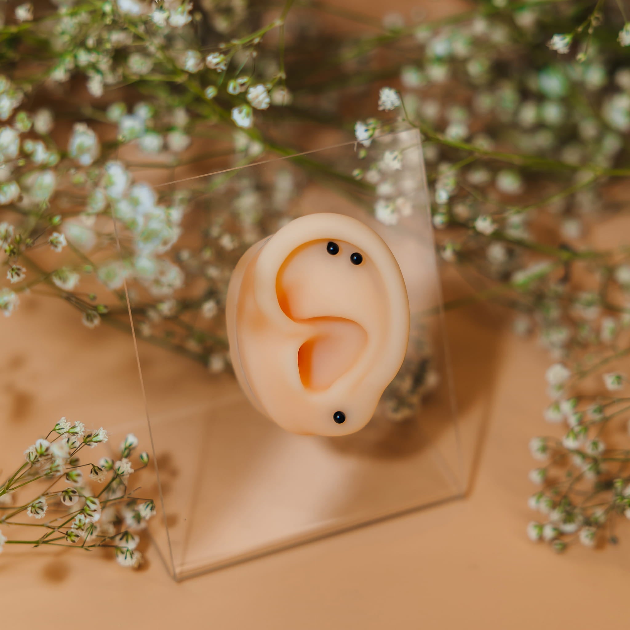 Labret z kulką - Stal Chirurgiczna 316L.